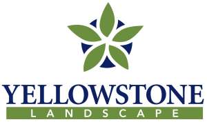 YellowstoneLogo